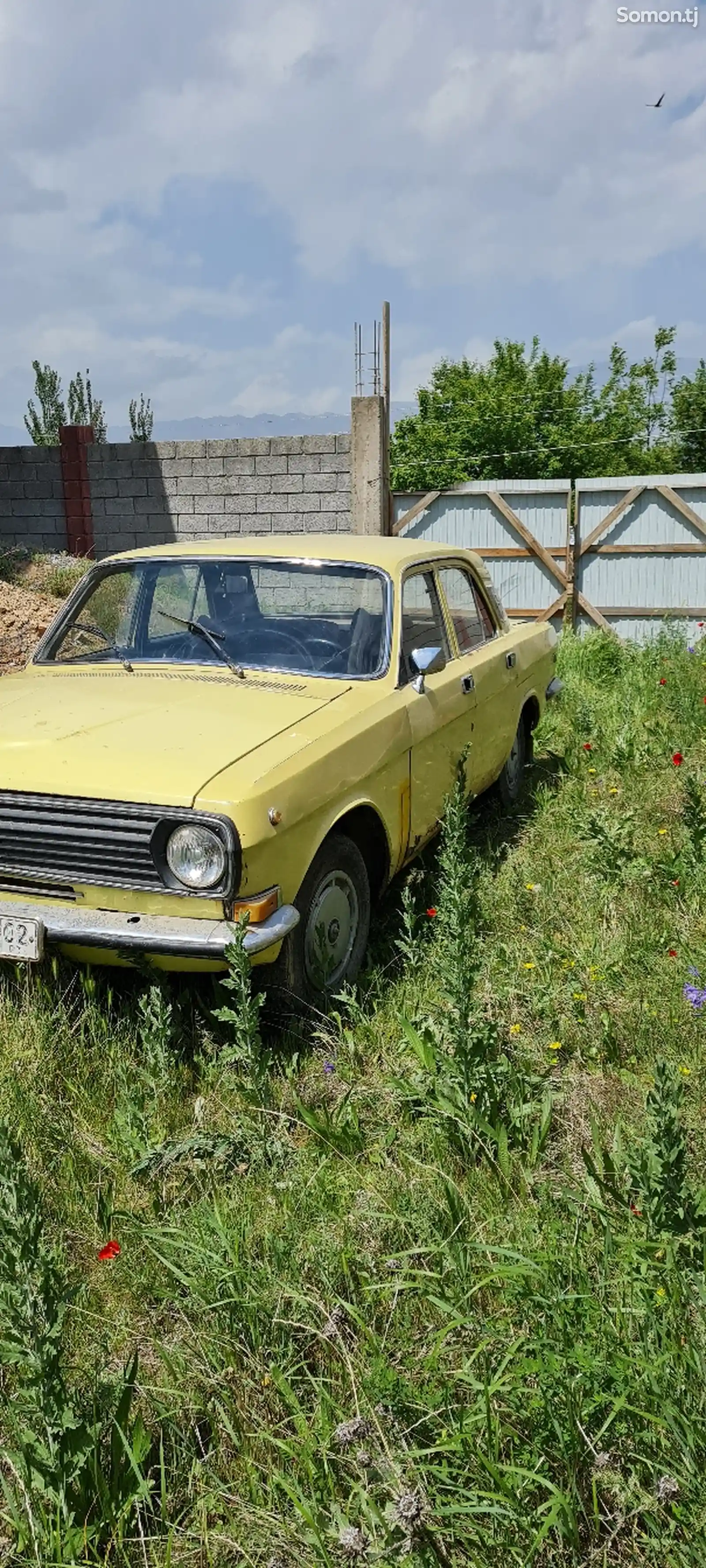 ГАЗ 24011, 1986-5
