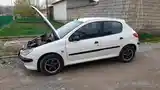 Peugeot 206, 2003-2