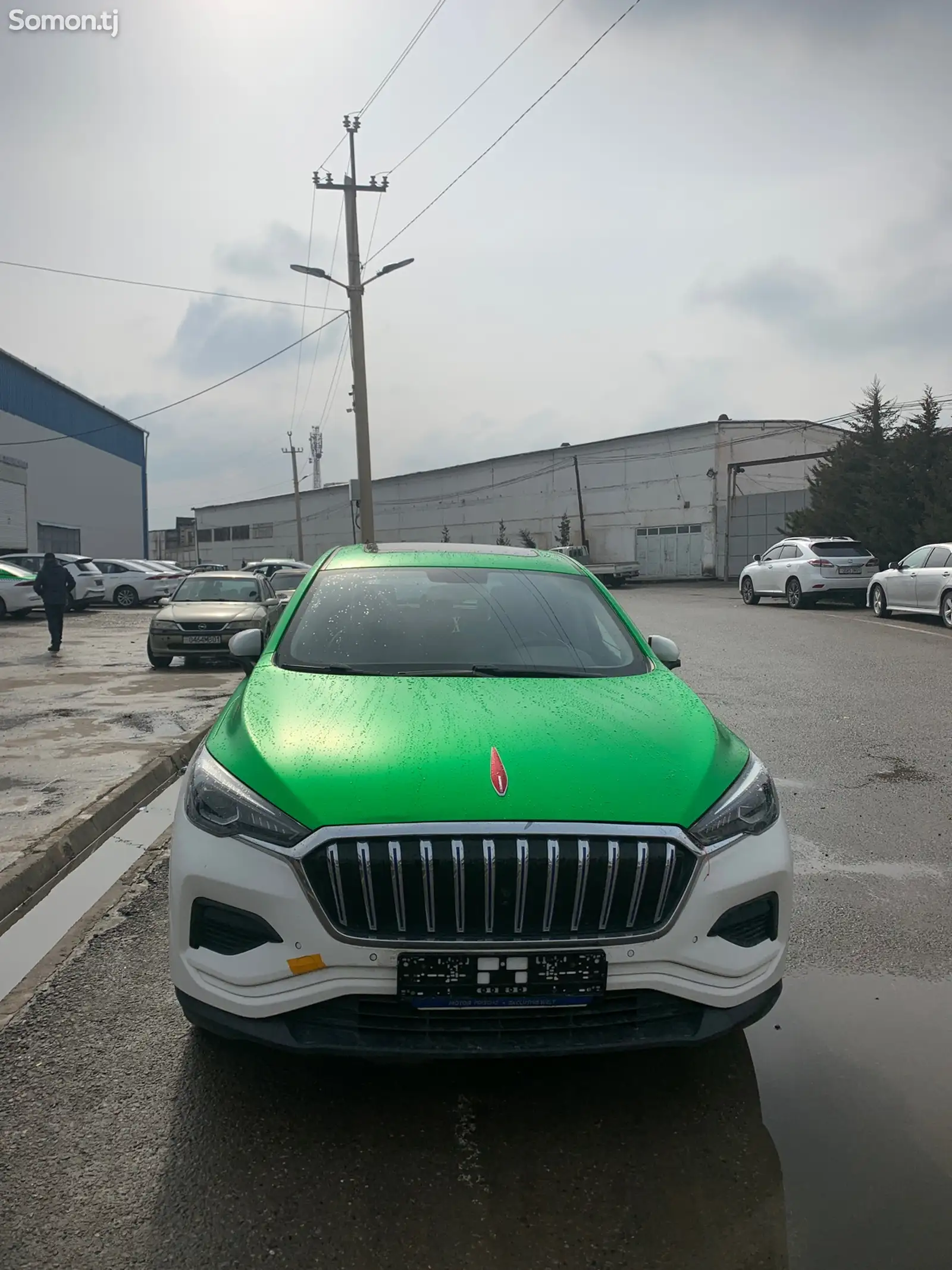 Hongqi E-HS3, 2019-1