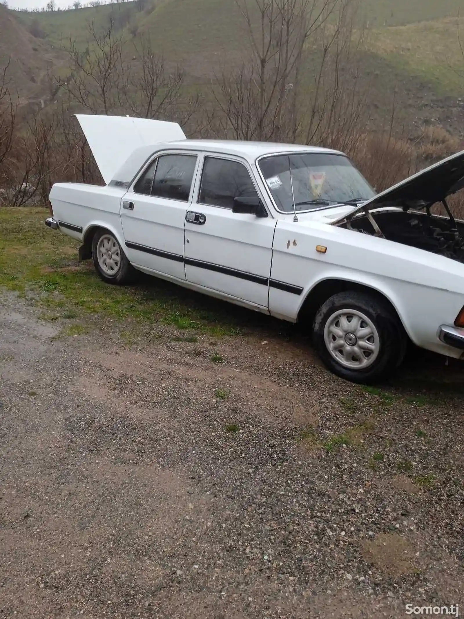 ГАЗ 3102, 1986-3