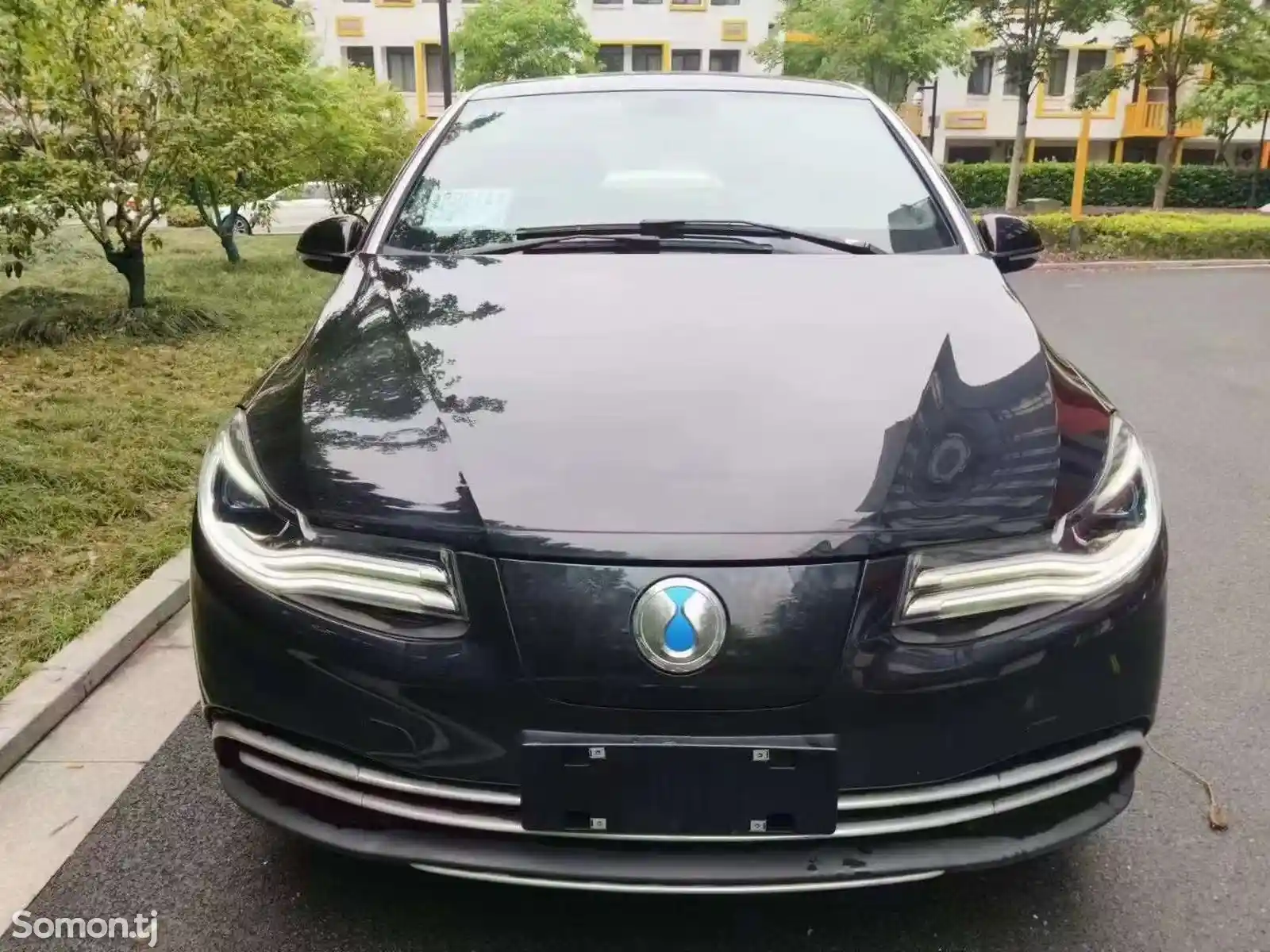 BYD TENGSHI 450, 2019-1