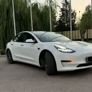 Tesla Model 3, 2023