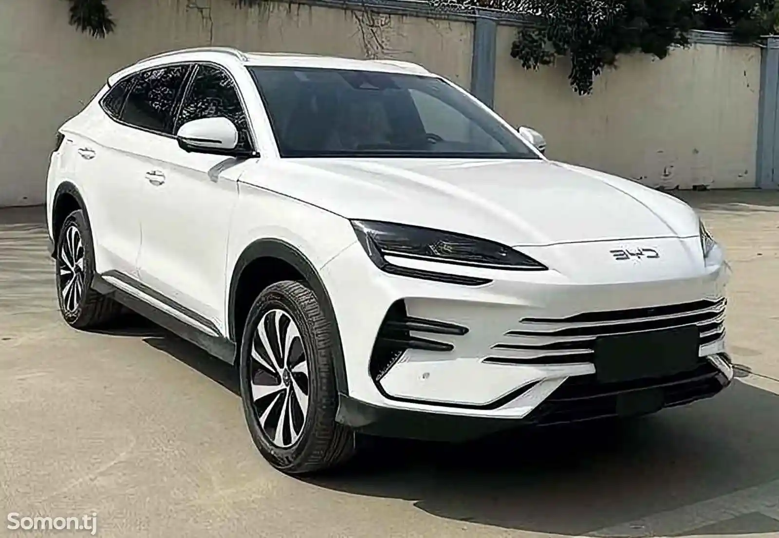 BYD Song Plus, 2024 на заказ-2