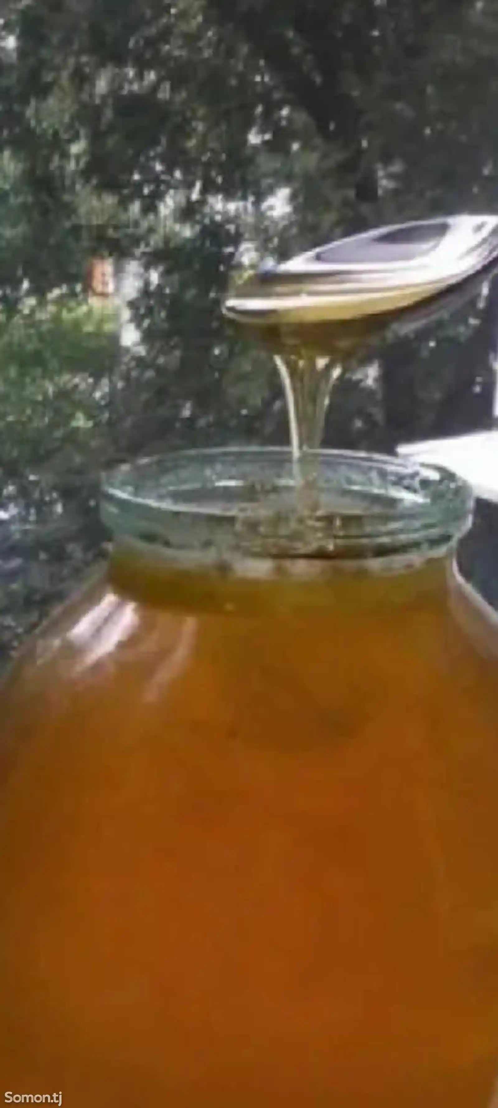 Мёд-1