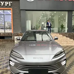 BYD Song, 2024