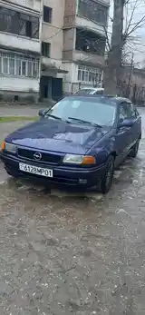 Opel Astra F, 1995-10