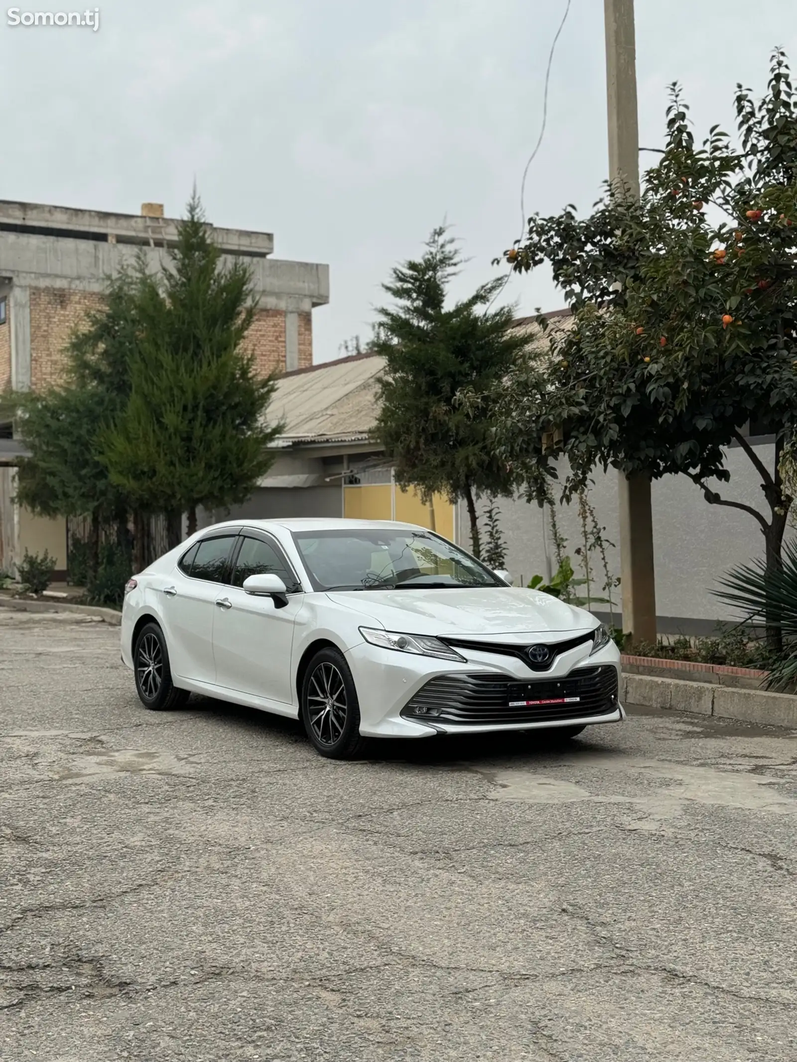 Toyota Camry, 2019-1