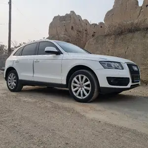 Audi Q5, 2010