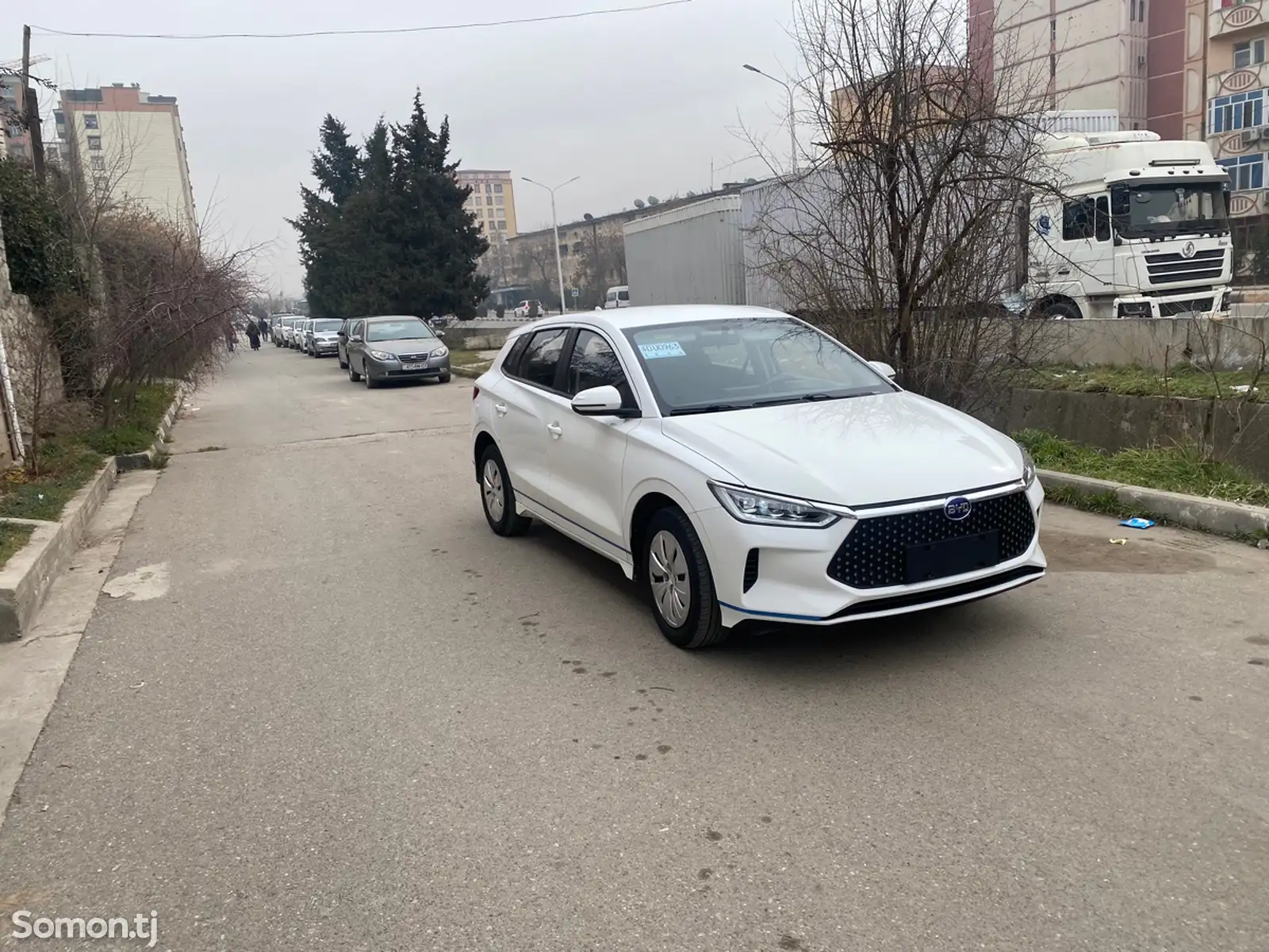 BYD E2, 2019-1