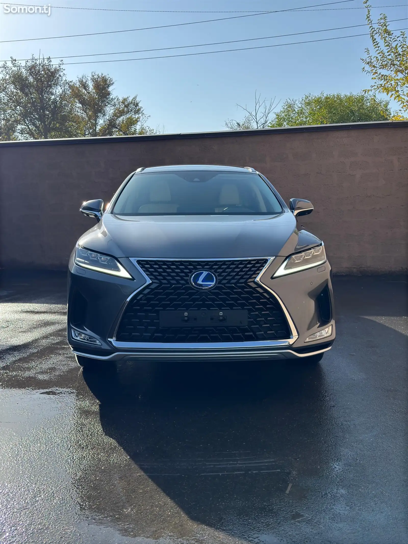 Lexus RX series, 2021-1