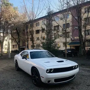 Dodge Challenger, 2019