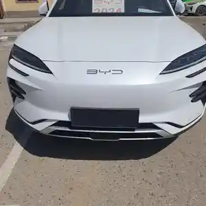 BYD Song Plus, 2024