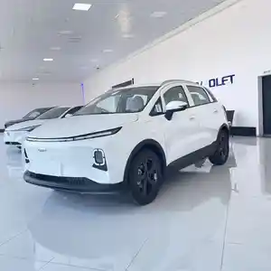 Geely Geometry E, 2024