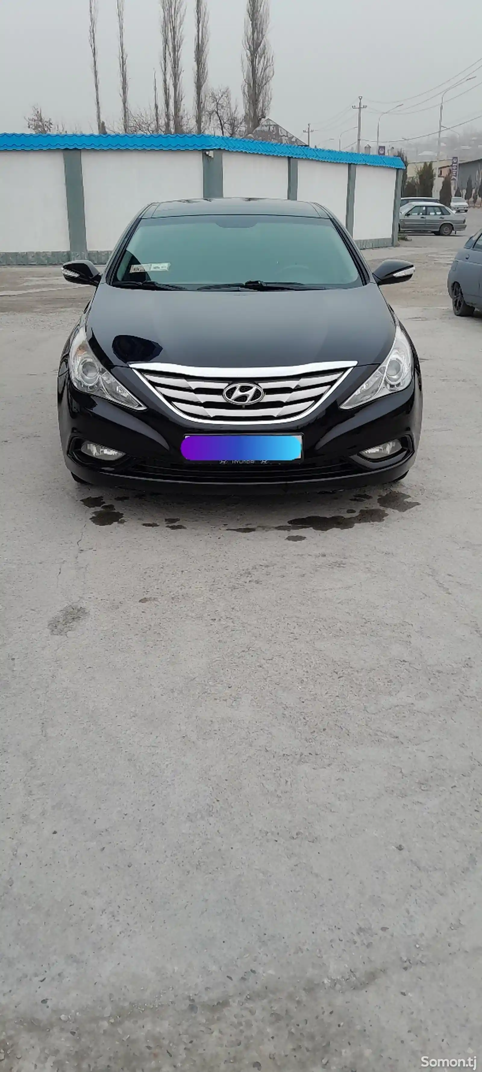 Hyundai Sonata, 2010-1