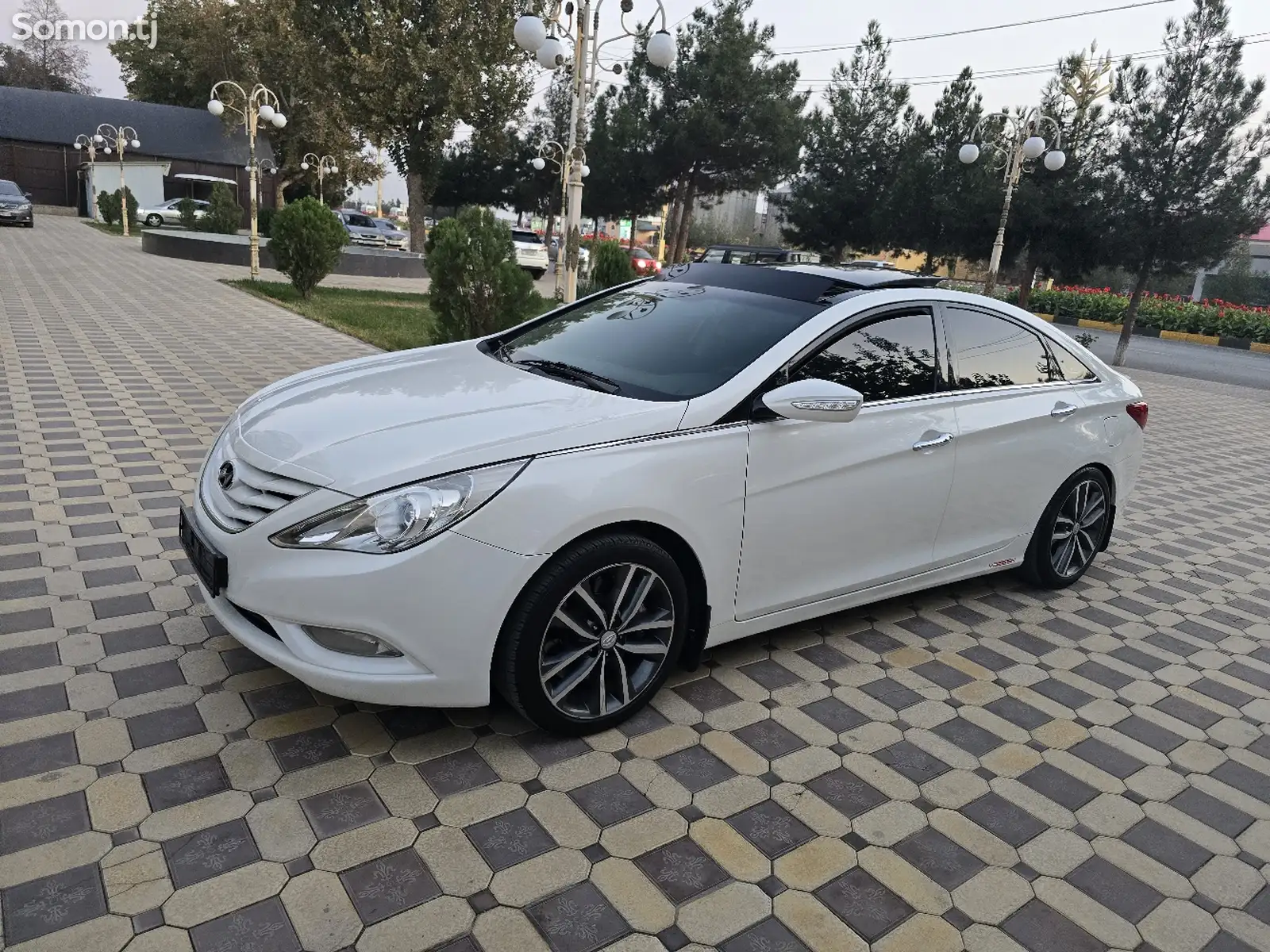 Hyundai Sonata, 2010-1