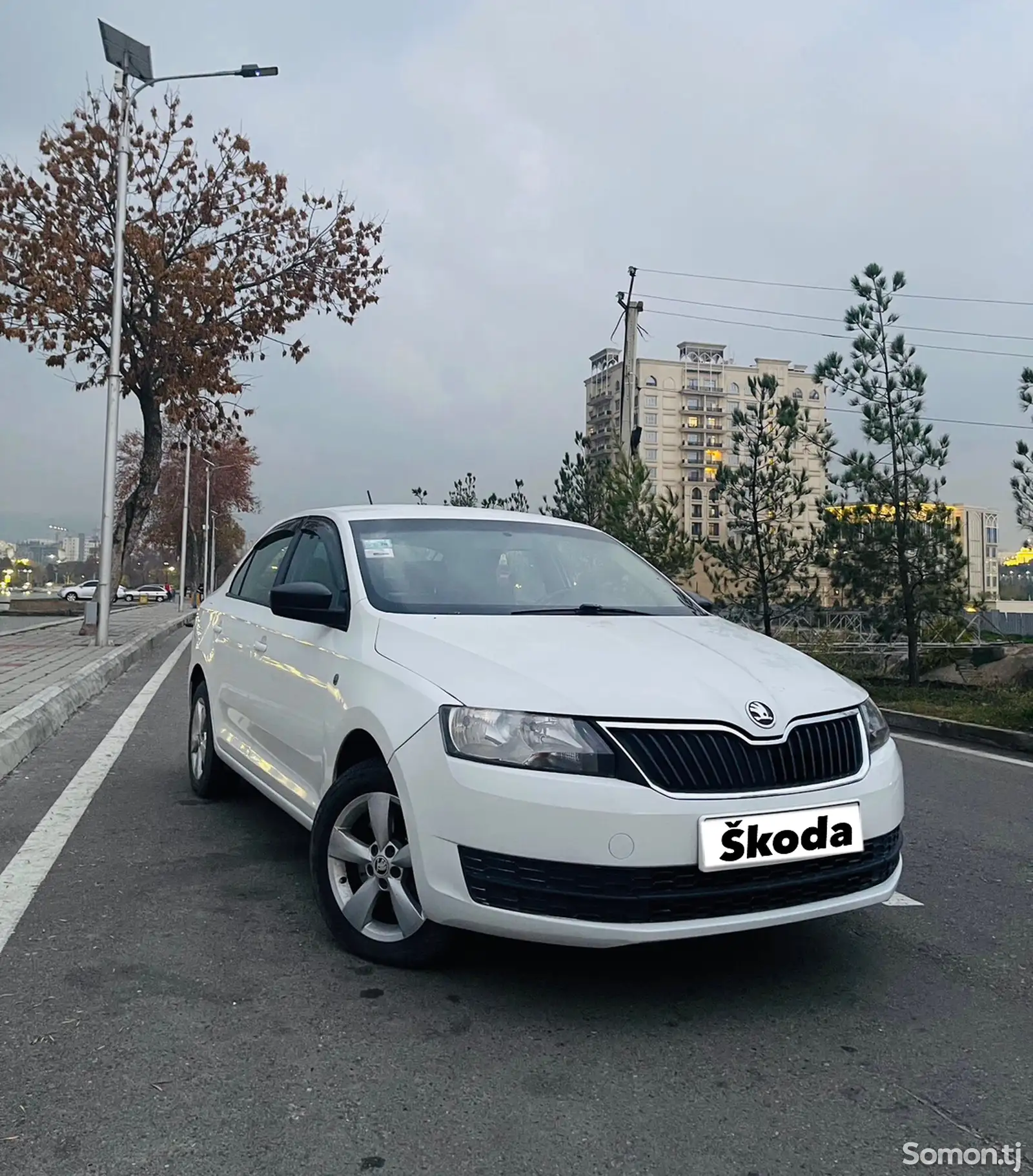 Skoda Rapid, 2014-1