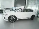 BYD E2, 2024-2