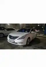 Hyundai Sonata, 2010-4