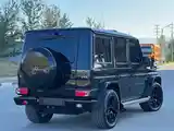 Mercedes-Benz G class, 2017-4