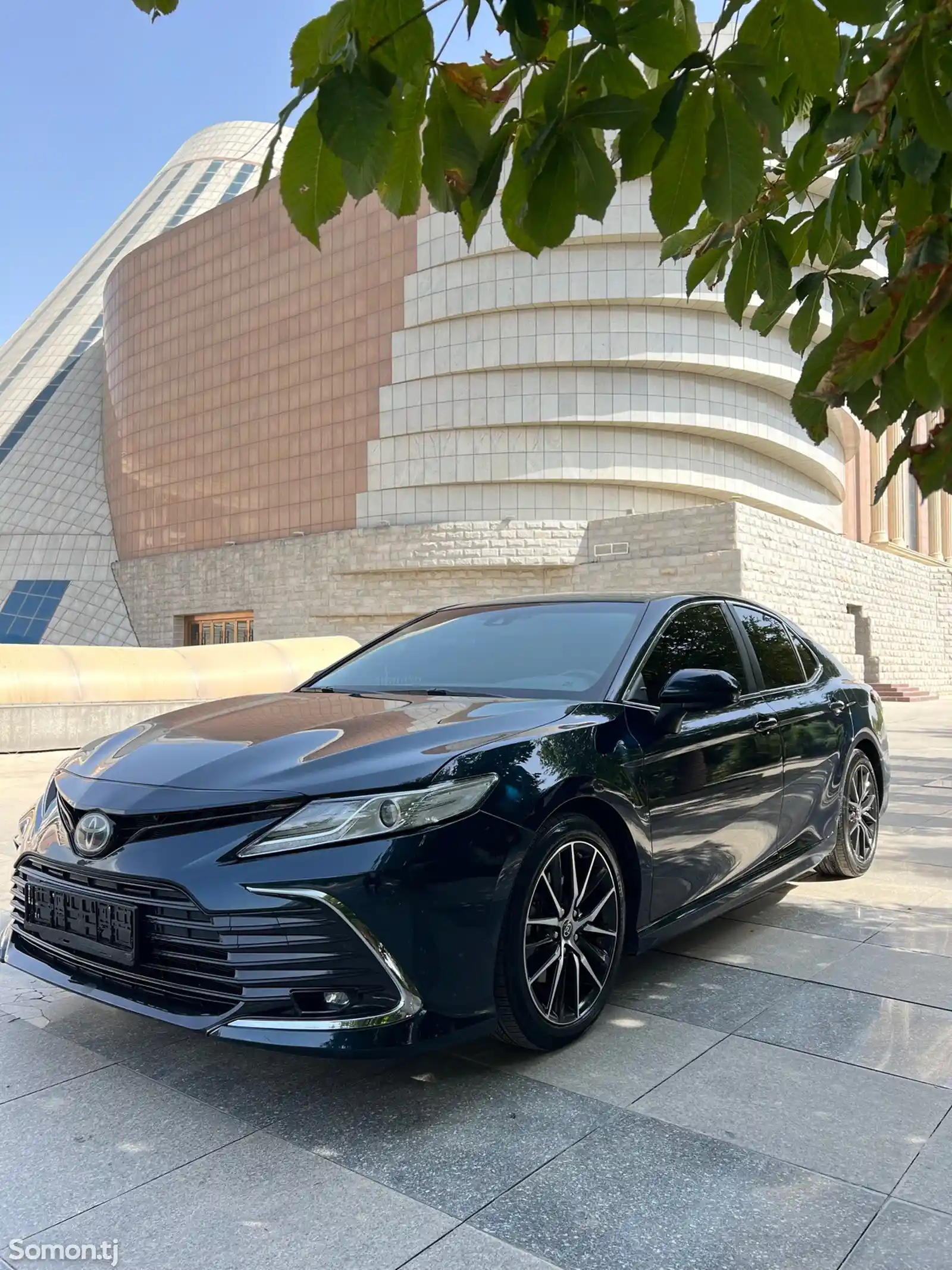 Toyota Camry, 2019-1