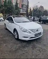 Hyundai Sonata, 2011-2