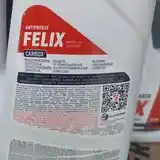 Антифриз Felix 5kg-3