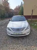 Hyundai Sonata, 2010-7