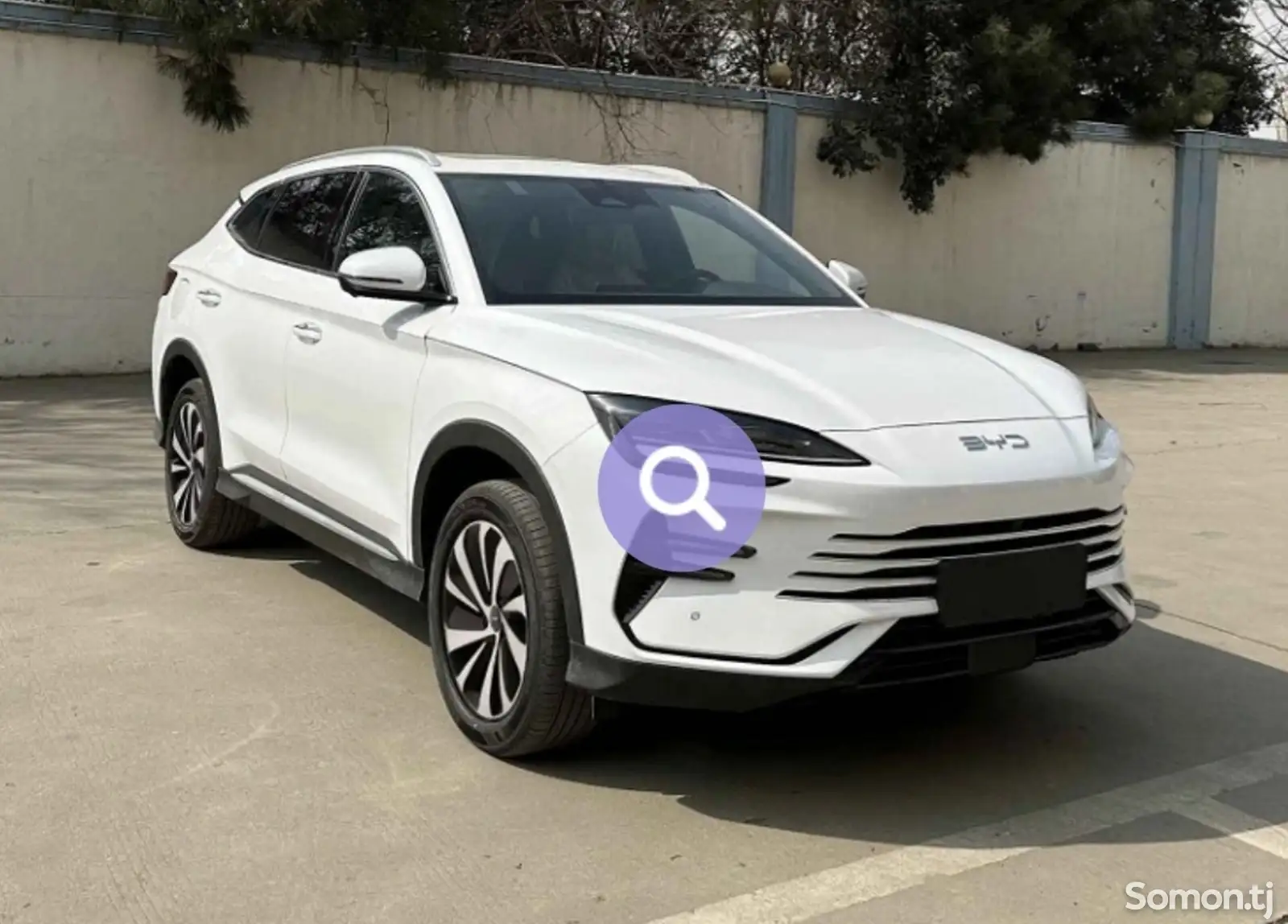 BYD Song Plus Flagship, 2024-1