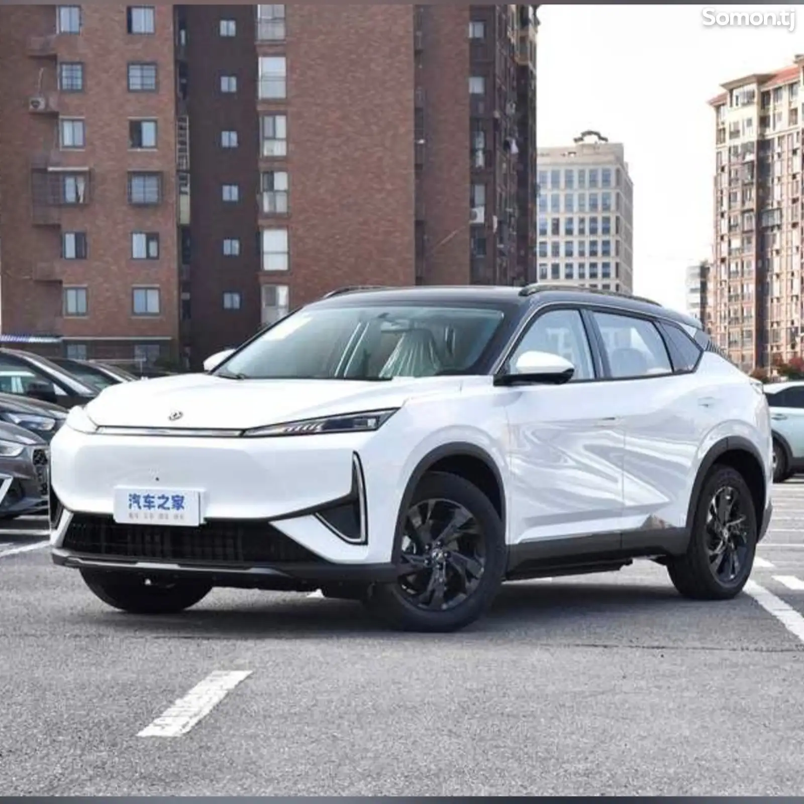 Dongfeng Landian E5, 2024-1