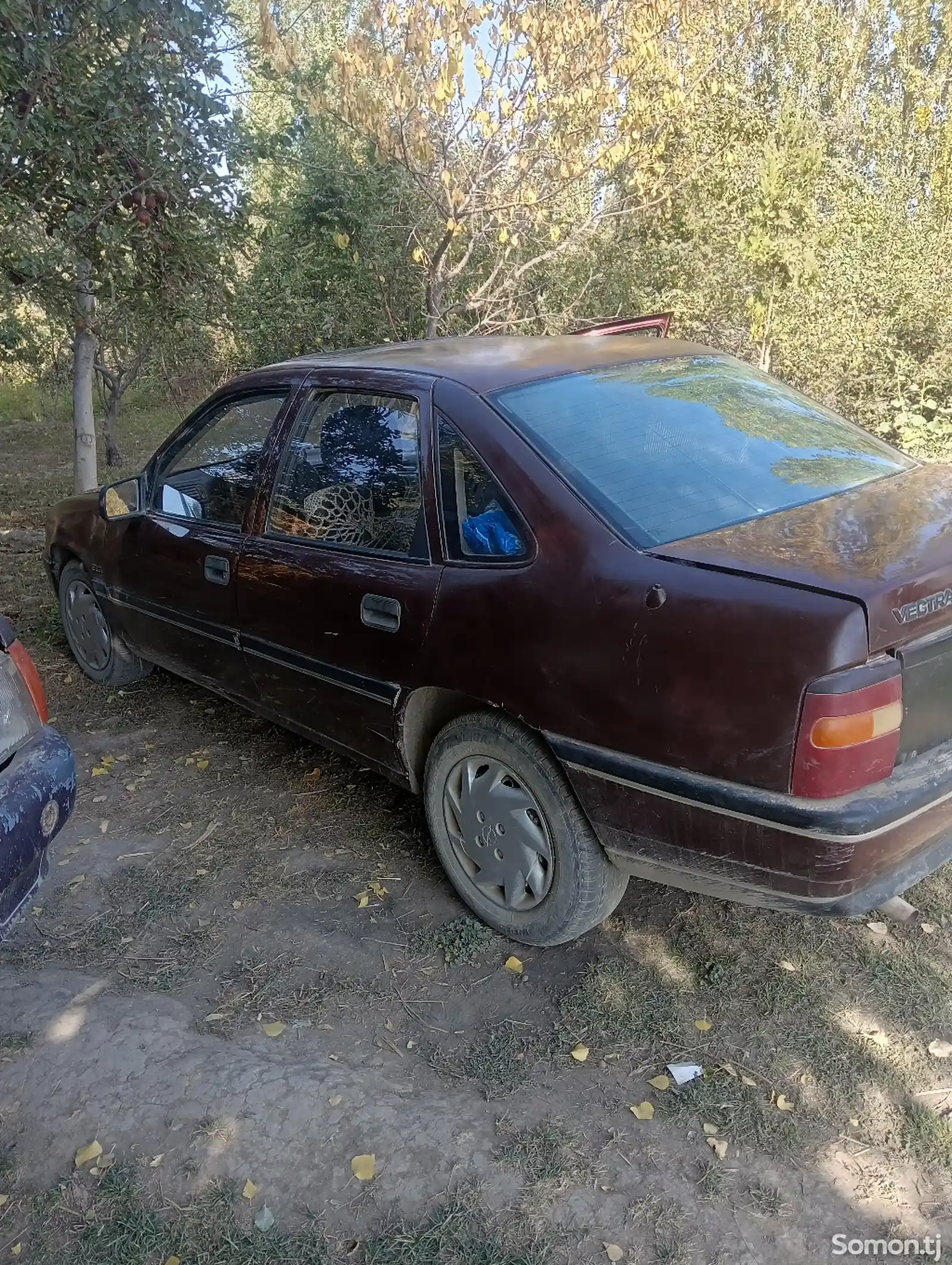 Opel Vectra A, 1991-2