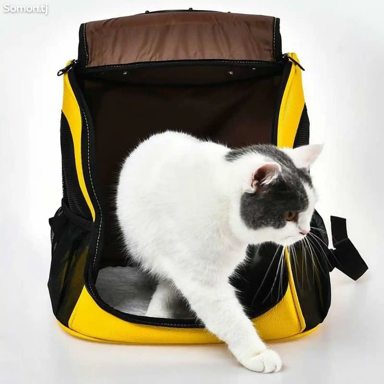 Рюкзак-переноска для кошек Little Beast Mini Monstar Capsule Backpack-7