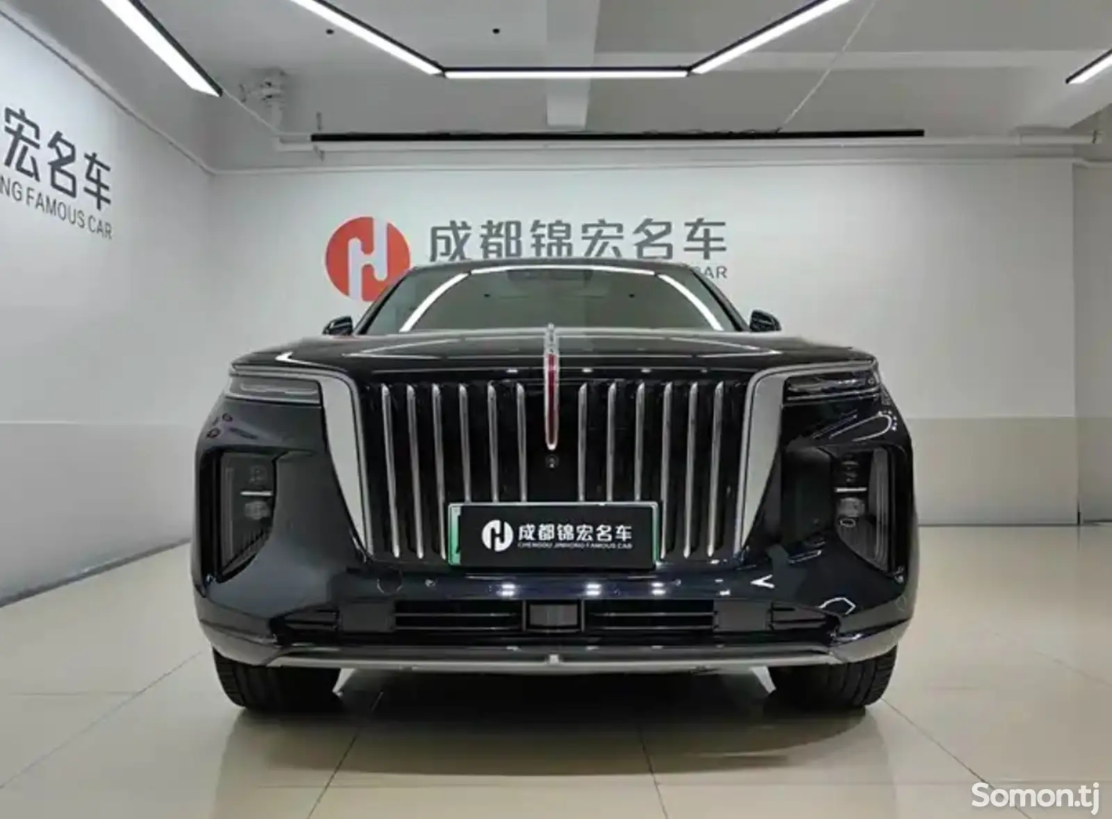 Hongqi E-HS9, 2021-1