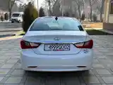 Hyundai Sonata, 2010-6