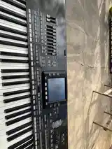 Синтезатор Korg Pa3X Ram256-5