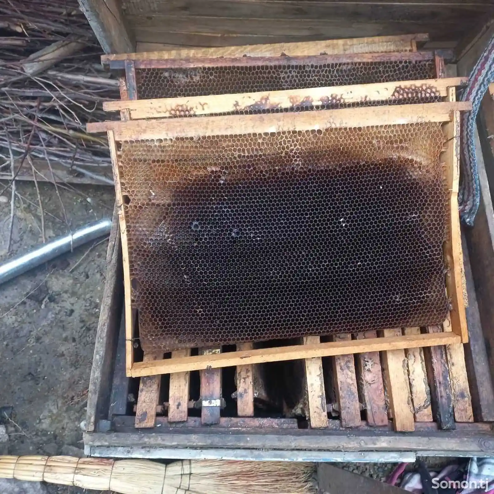 Пчелиная рамка-3