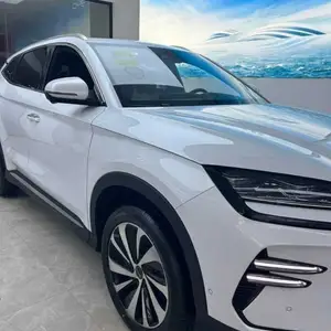 BYD Song Plus Flagship, 2024