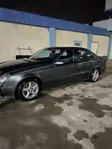 Mercedes-Benz E class, 2006-3