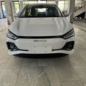 BYD E2, 2024