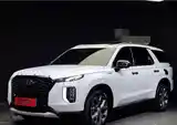 Hyundai Palisade, 2020-2