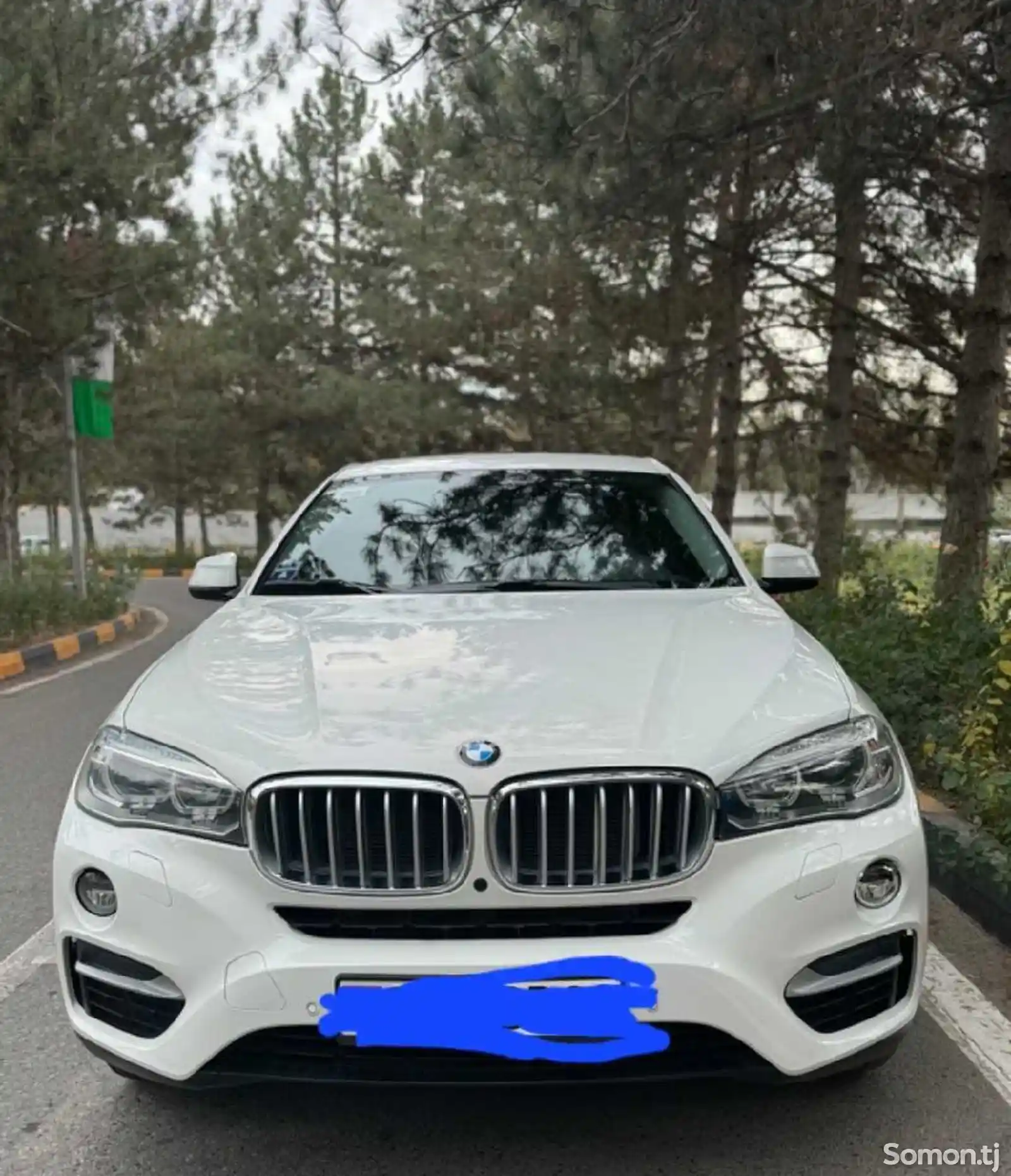 Лобовое стекло BMW X6