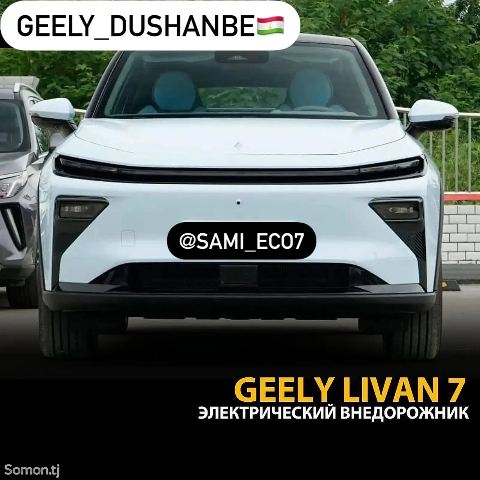 Geely Livan RL7, 2025-1