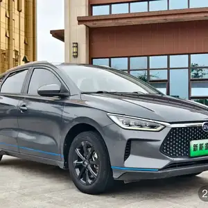 BYD E2, 2019