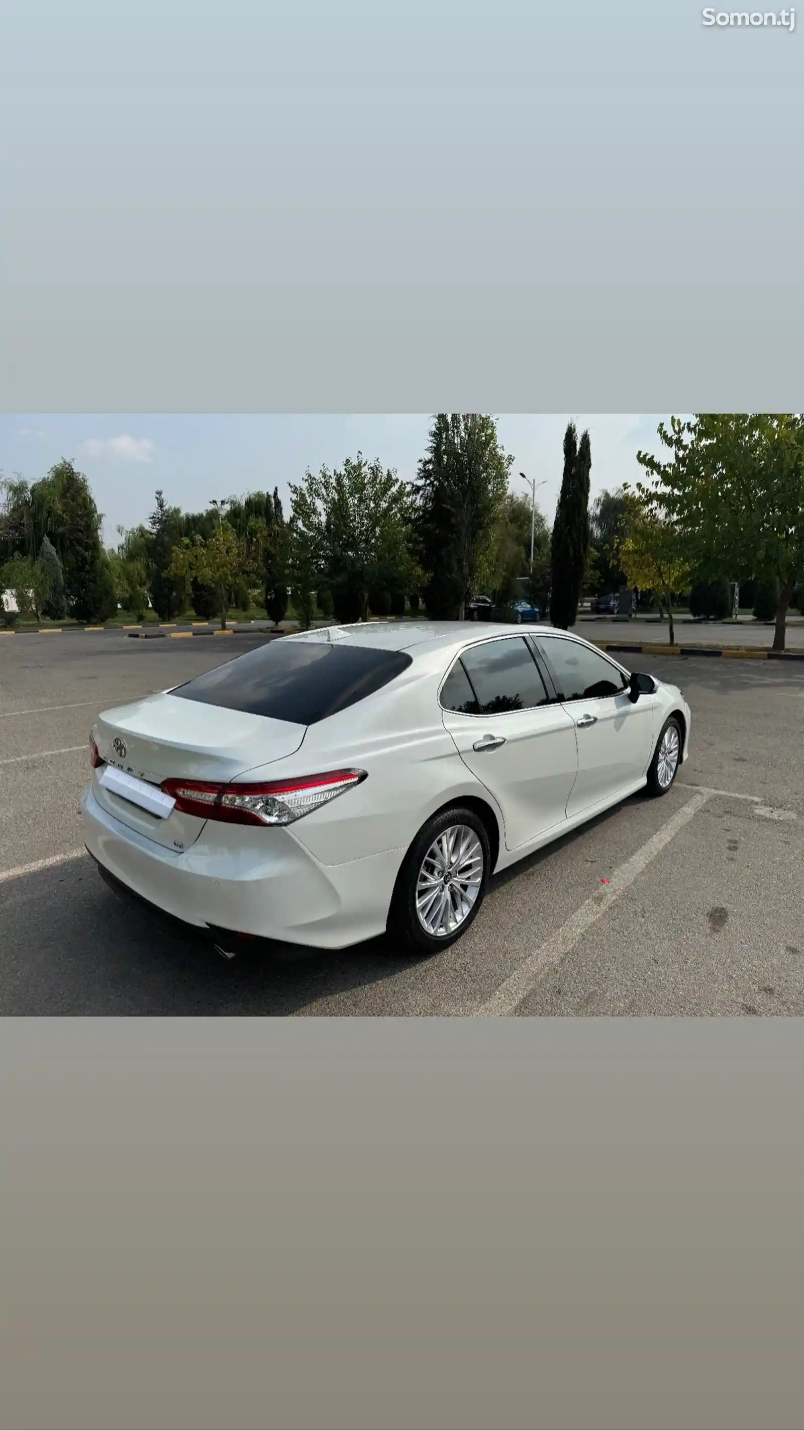 Toyota Camry, 2019-3