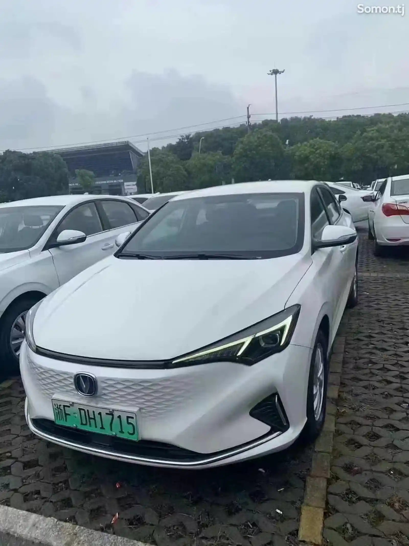 Changan Eado, 2021-1