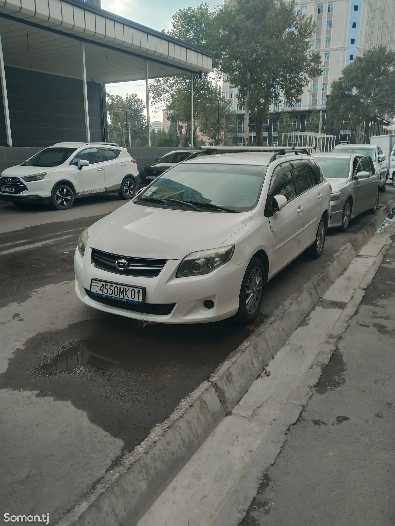 Toyota Fielder, 2010-1