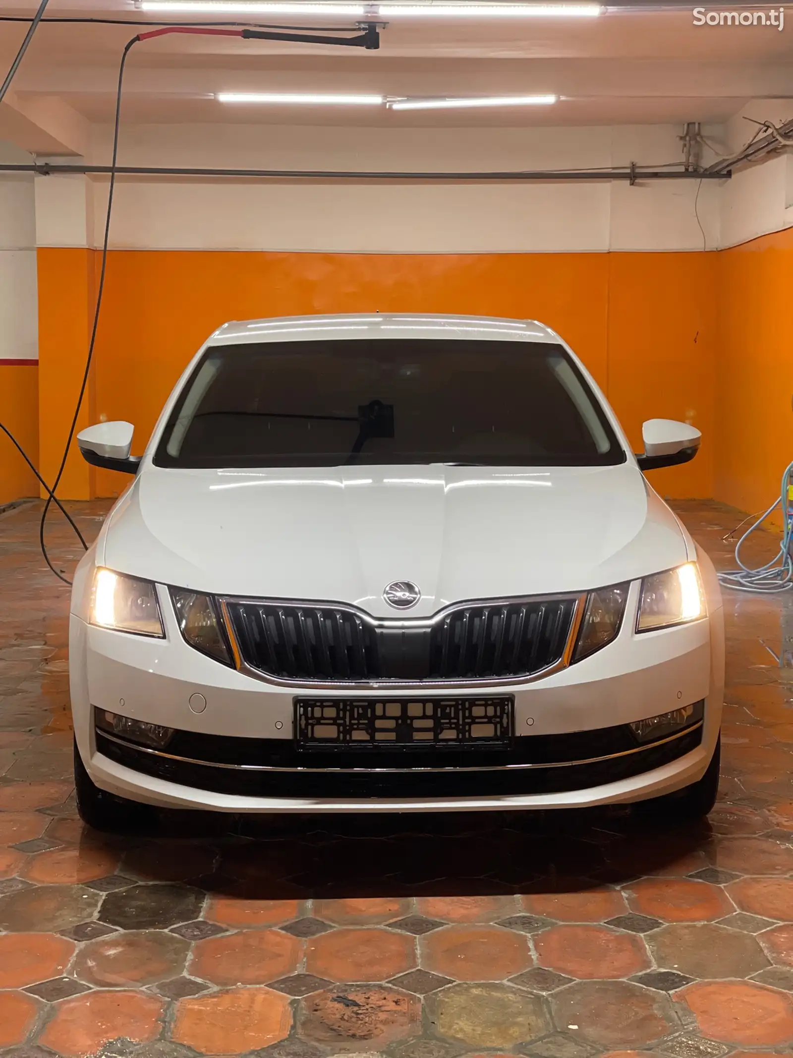 Skoda Octavia, 2019-1