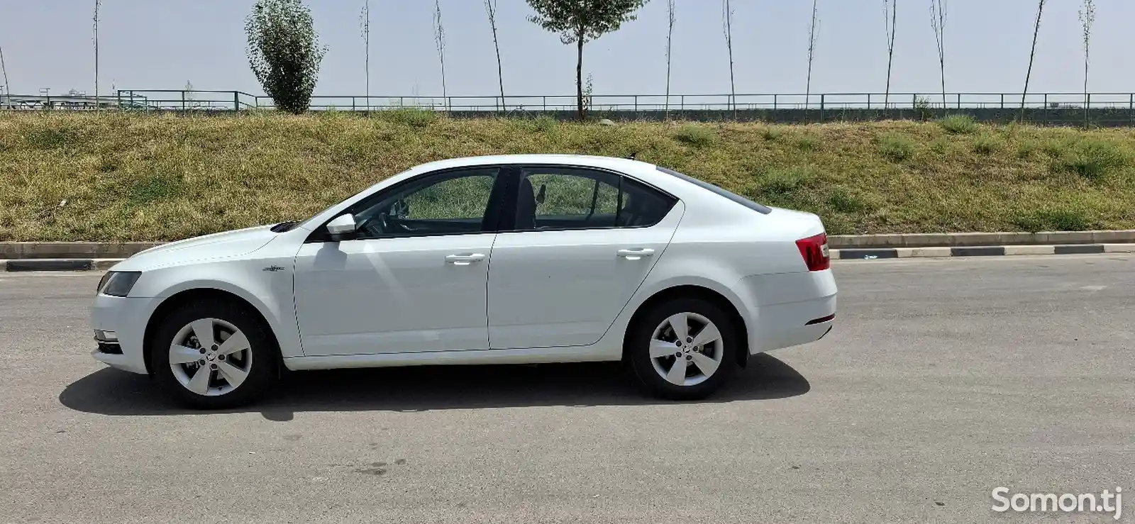 Skoda Octavia, 2019-4