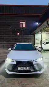 Toyota Avalon, 2019-6