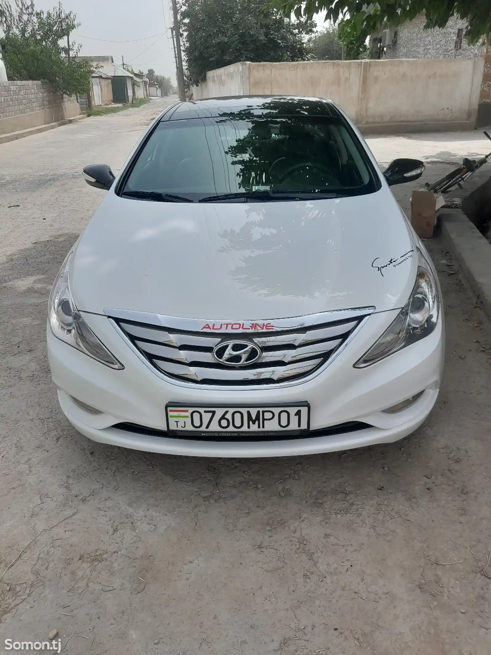 Hyundai Sonata, 2010-1