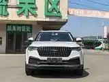 Zotye T600, 2018-3